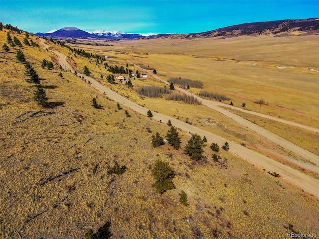 000 Middle Fork Vis, Fairplay, CO 80440