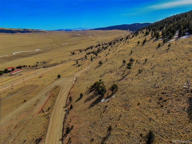 000 Middle Fork Vis, Fairplay, CO 80440