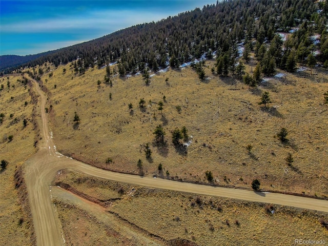 000 Middle Fork Vis, Fairplay, CO 80440