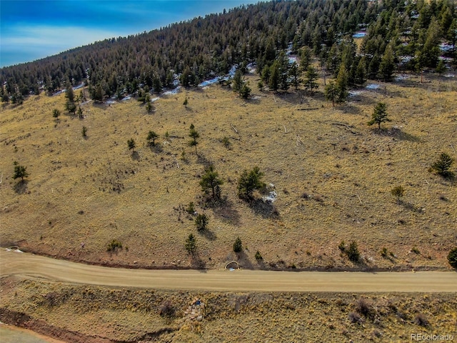 000 Middle Fork Vis, Fairplay, CO 80440