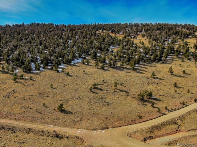 000 Middle Fork Vis, Fairplay, CO 80440