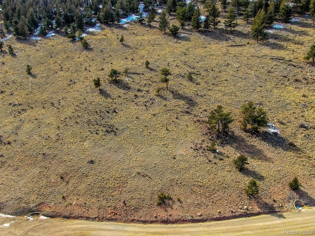 000 Middle Fork Vis, Fairplay, CO 80440