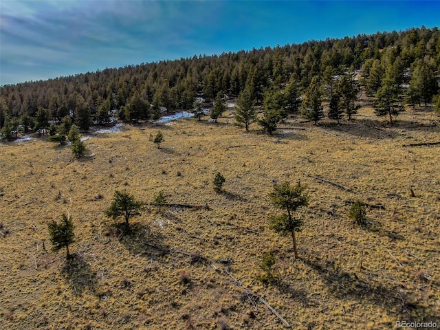 000 Middle Fork Vis, Fairplay, CO 80440