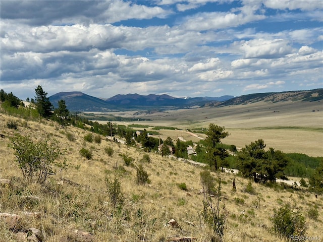 000 Middle Fork Vis, Fairplay, CO 80440