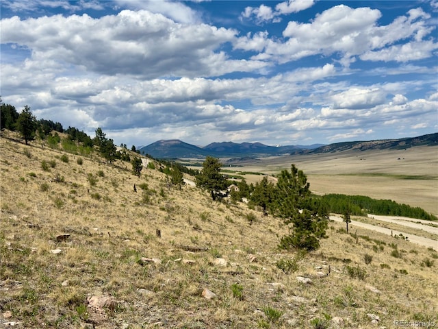 000 Middle Fork Vis, Fairplay, CO 80440