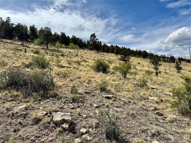 000 Middle Fork Vis, Fairplay, CO 80440