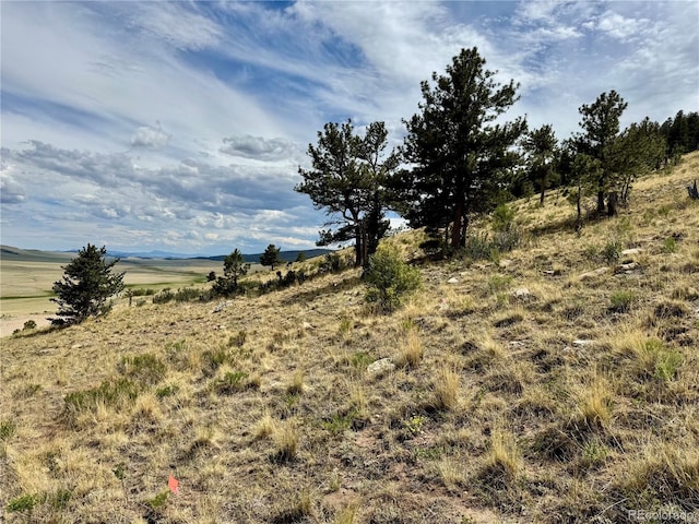 000 Middle Fork Vis, Fairplay, CO 80440