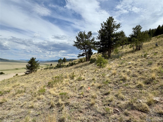 000 Middle Fork Vis, Fairplay, CO 80440