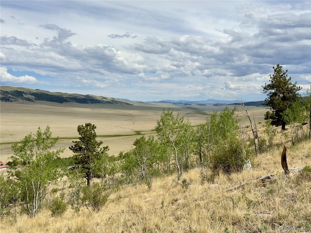 000 Middle Fork Vis, Fairplay, CO 80440