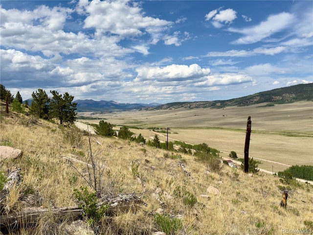 000 Middle Fork Vis, Fairplay, CO 80440
