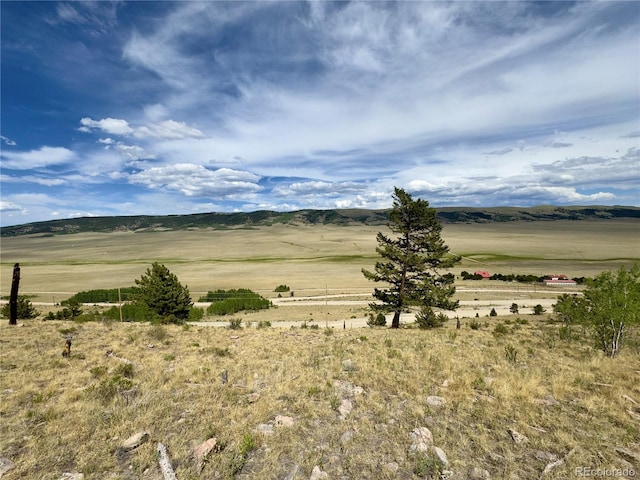 000 Middle Fork Vis, Fairplay, CO 80440
