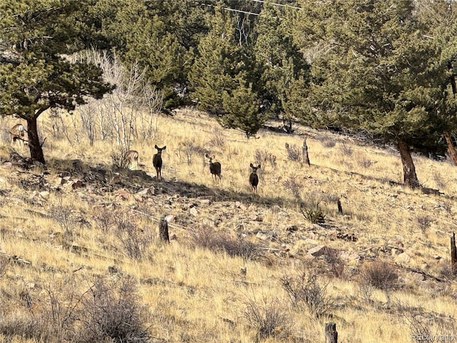 000 Middle Fork Vis, Fairplay, CO 80440 - photo 35