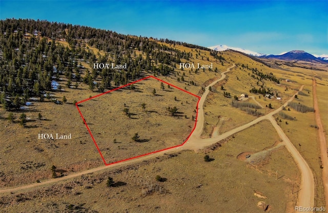 000 Middle Fork Vis, Fairplay, CO 80440 - photo 11
