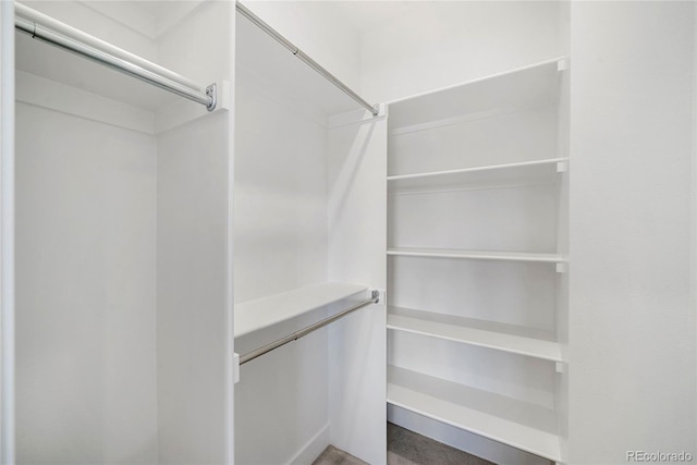 1473 N Locust, Denver, CO 80220 - view of spacious closet