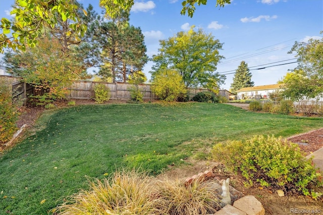 view of yard featuring a fenced backyard