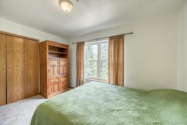 234 Carroll Ln, Breckenridge, CO 80424 - bedroom with carpet and a closet