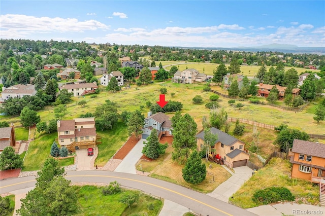 8916 Sunridge Hollow Rd, Parker, CO 80134 - photo 46