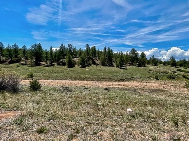 7080 Copper Gulch Rd, Cotopaxi, CO 81223 - photo 3