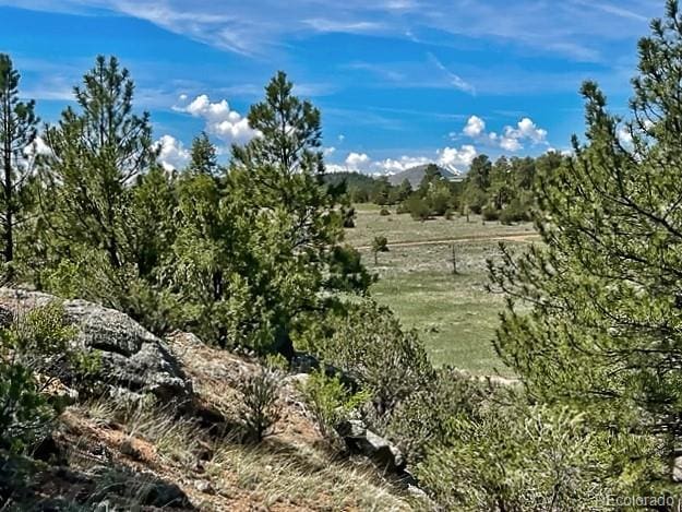 7080 Copper Gulch Rd, Cotopaxi, CO 81223 - photo 4