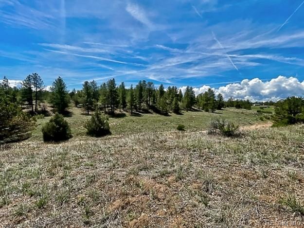 7080 Copper Gulch Rd, Cotopaxi, CO 81223 - photo 6