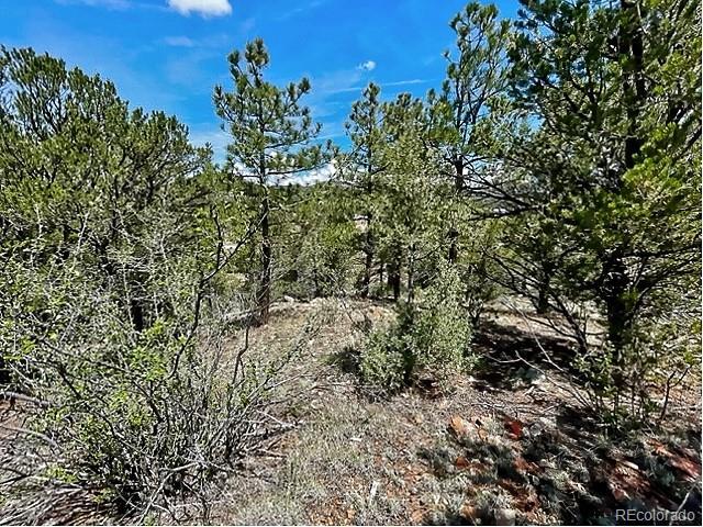7080 Copper Gulch Rd, Cotopaxi, CO 81223 - photo 7