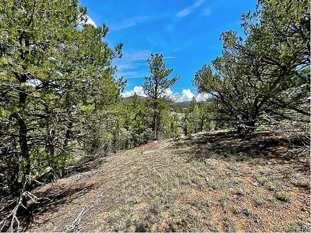 7080 Copper Gulch Rd, Cotopaxi, CO 81223 - photo 8