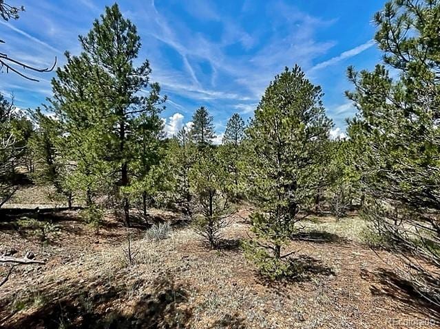 7080 Copper Gulch Rd, Cotopaxi, CO 81223 - photo 9