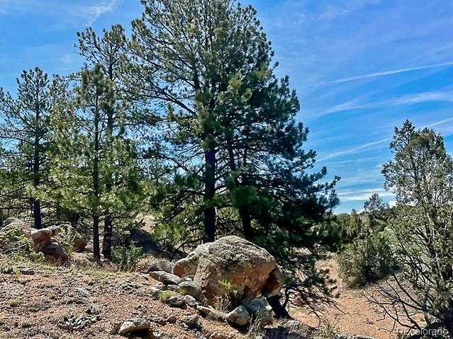 7080 Copper Gulch Rd, Cotopaxi, CO 81223 - photo 11