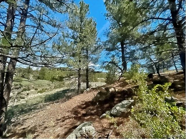 7080 Copper Gulch Rd, Cotopaxi, CO 81223 - photo 12