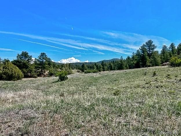 7080 Copper Gulch Rd, Cotopaxi, CO 81223 - photo 13