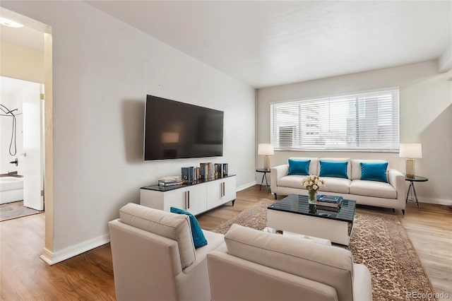 living room with wood-type flooring