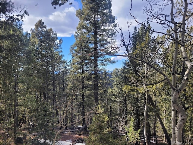 329 Paradiso Rd, Divide CO, 80814 land for sale