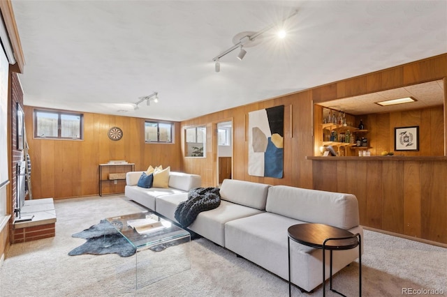 living room with wood walls and carpet flooring