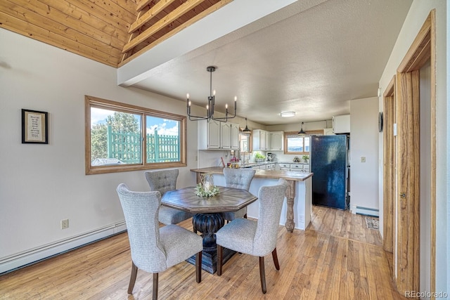895 Acorn Rd, Cotopaxi, CO 81223 - dining room featuring baseboard heating, light wood-style floors, a baseboard heating unit, and a chandelier