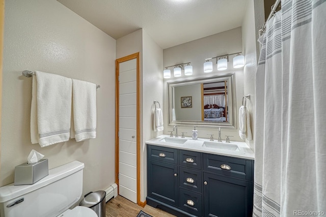895 Acorn Rd, Cotopaxi, CO 81223 - bathroom with wood finished floors, double vanity, and baseboard heating
