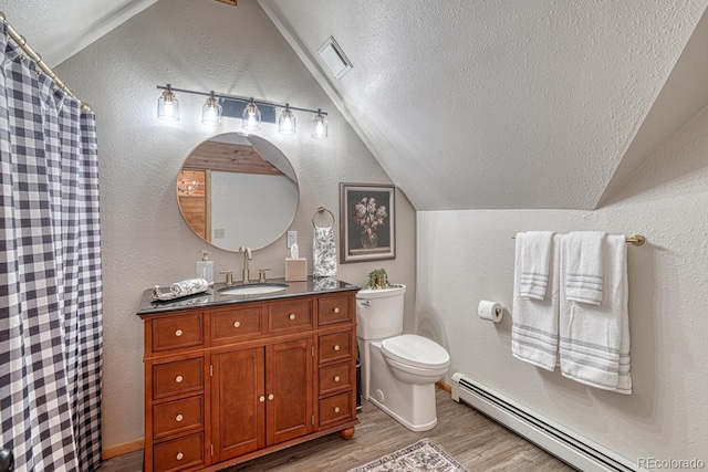 895 Acorn Rd, Cotopaxi, CO 81223 - bathroom with a baseboard heating unit, vaulted ceiling, wood finished floors, vanity, and a textured wall