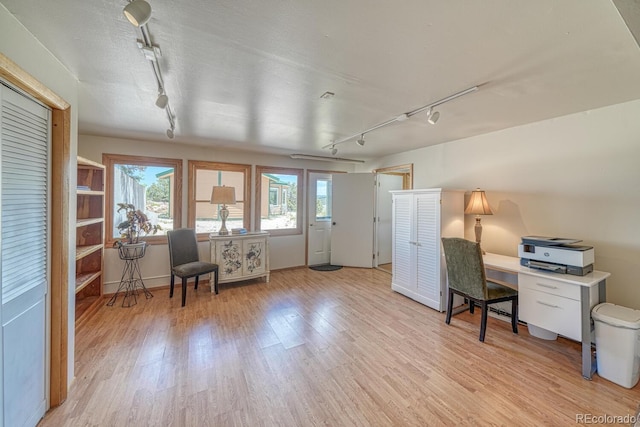 895 Acorn Rd, Cotopaxi, CO 81223 - office with track lighting and light wood-style flooring