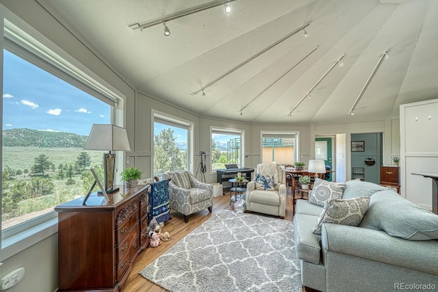 895 Acorn Rd, Cotopaxi, CO 81223 - living area featuring track lighting, wood finished floors, and vaulted ceiling