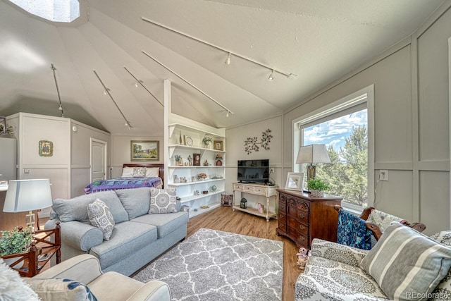895 Acorn Rd, Cotopaxi, CO 81223 - living room featuring a decorative wall, rail lighting, light wood finished floors, and vaulted ceiling