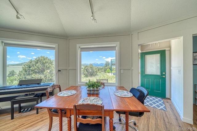 895 Acorn Rd, Cotopaxi, CO 81223 - dining space with track lighting, a decorative wall, light wood finished floors, and a textured ceiling