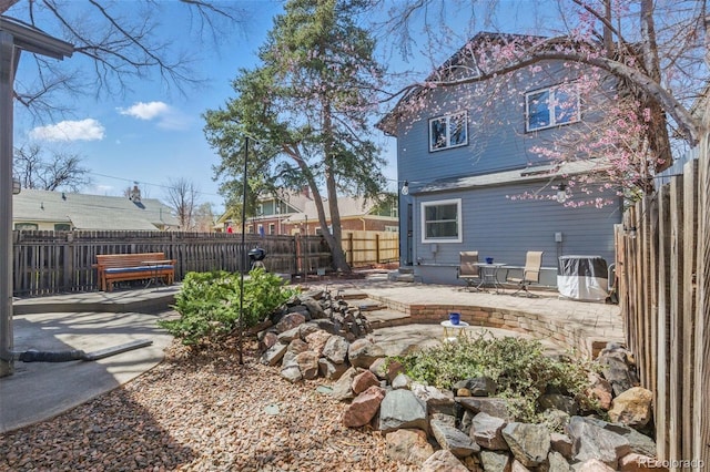 rear view of property with a patio area and a fenced backyard