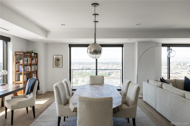 dining room with a wealth of natural light and hardwood / wood-style flooring