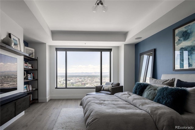 bedroom featuring multiple windows, a raised ceiling, and light hardwood / wood-style flooring