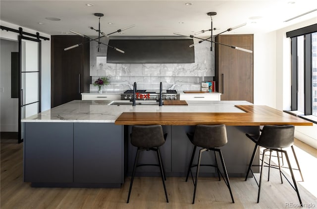 kitchen featuring light wood-type flooring, exhaust hood, a barn door, and sink