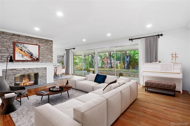 living room featuring ornamental molding, light hardwood / wood-style floors, and a fireplace