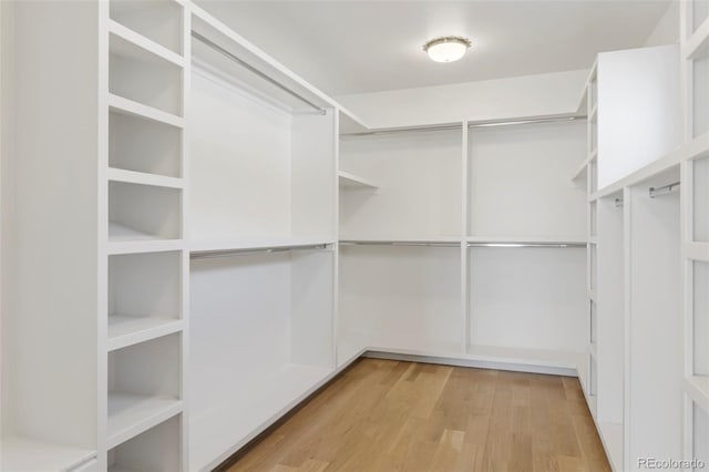 walk in closet featuring light wood-style floors