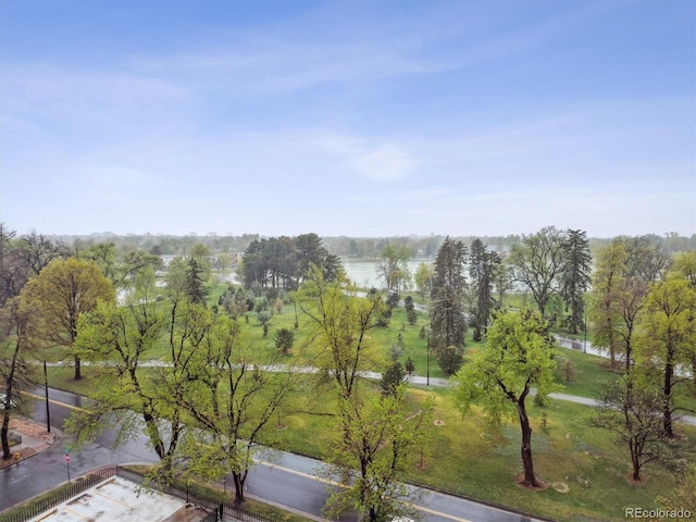 view of home's community with a water view