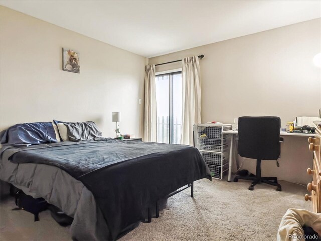 bedroom featuring carpet