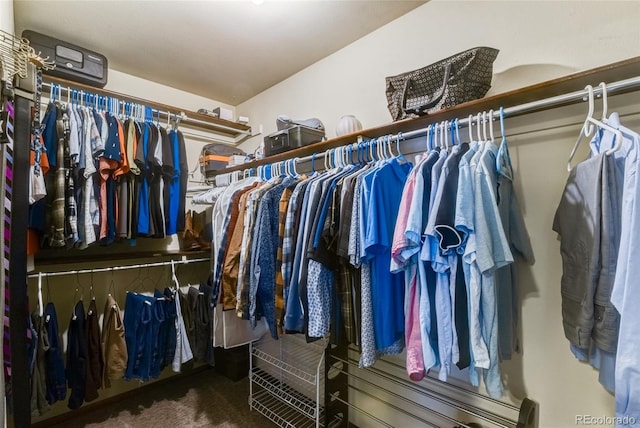 7394 S Field Ct, Littleton, CO 80128 - spacious closet featuring carpet flooring