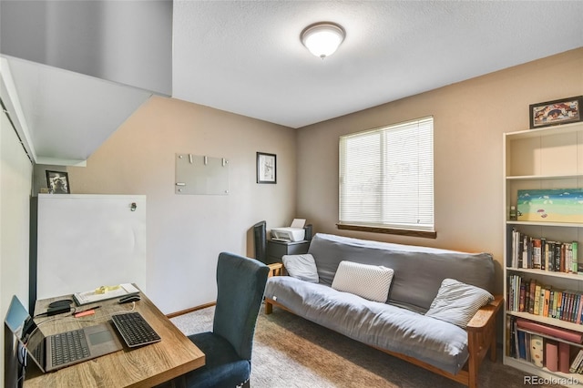 7394 S Field Ct, Littleton, CO 80128 - carpeted office with baseboards and a textured ceiling